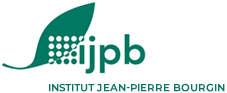 logo_ijpb.png