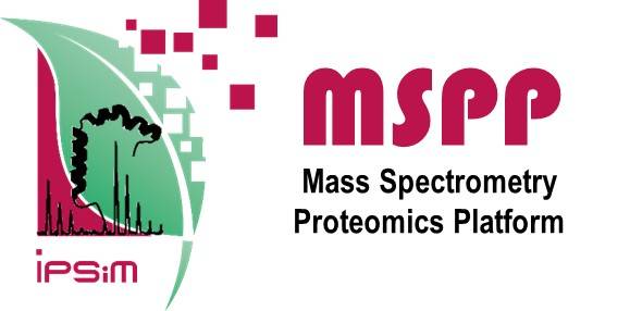 Logo_mspp-ipsim.jpg
